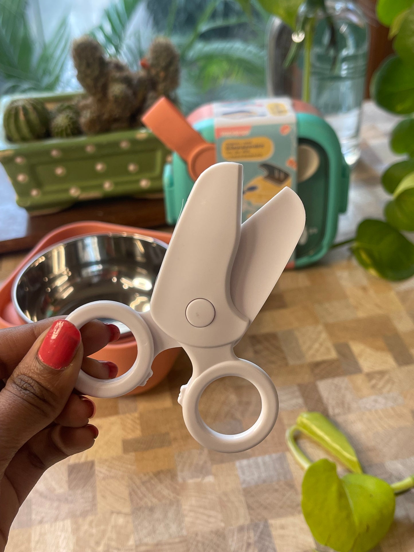 Kids Snacks bowl vacuum lunch box