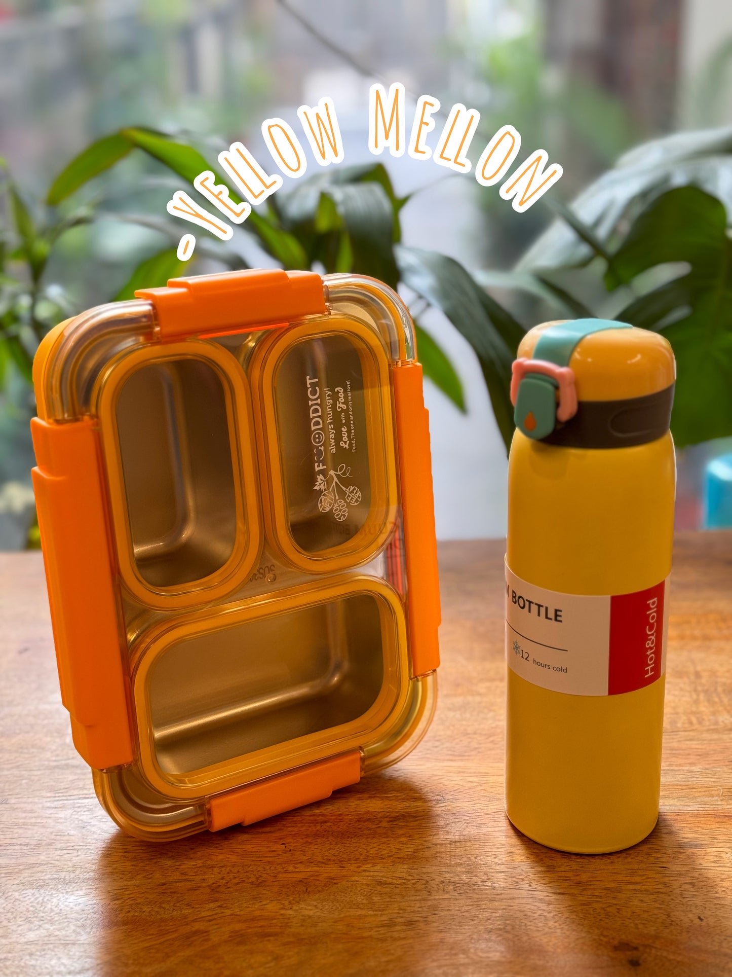 Mamma Mia Combo (Tokyo leakproof Bento Lunch Box+Spring Blossom Bottle)