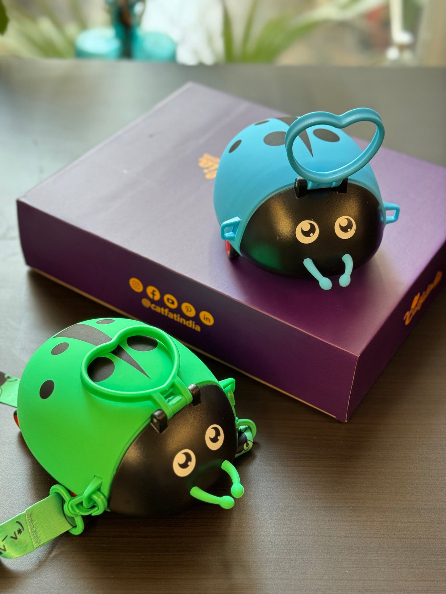 Lady bug water bottle 550ML