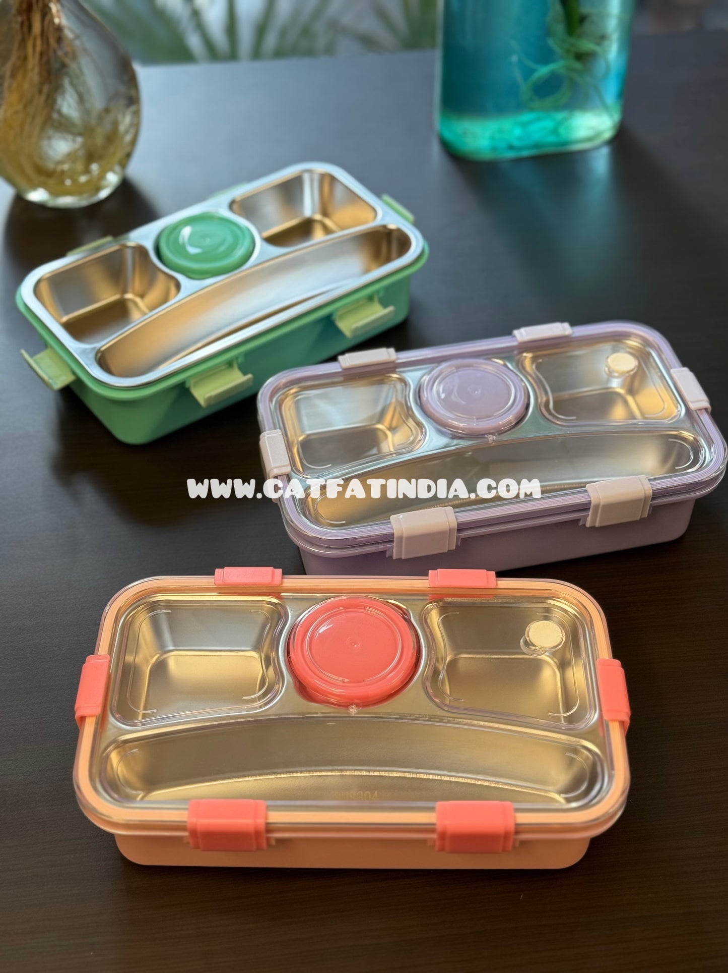 Feast Bento Box
