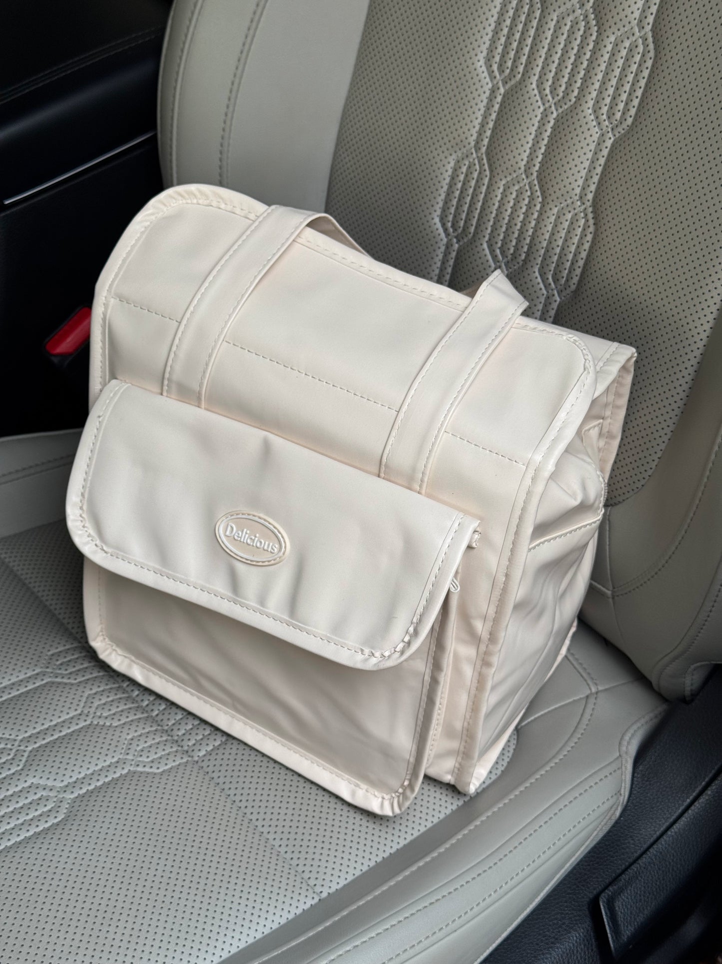 Thermo Tote Luxe Lunch Bag