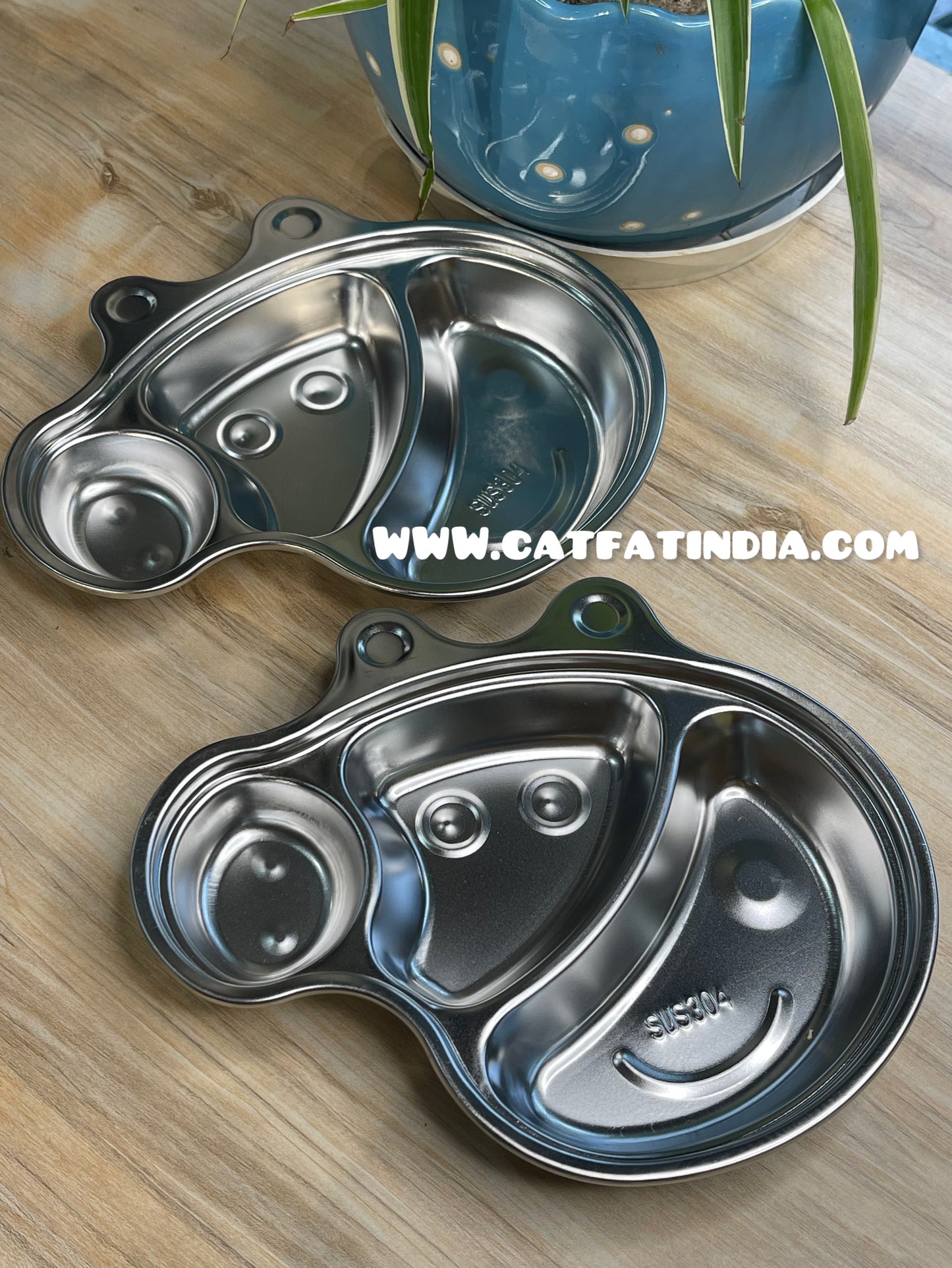 Stainless Steel Meal Plate