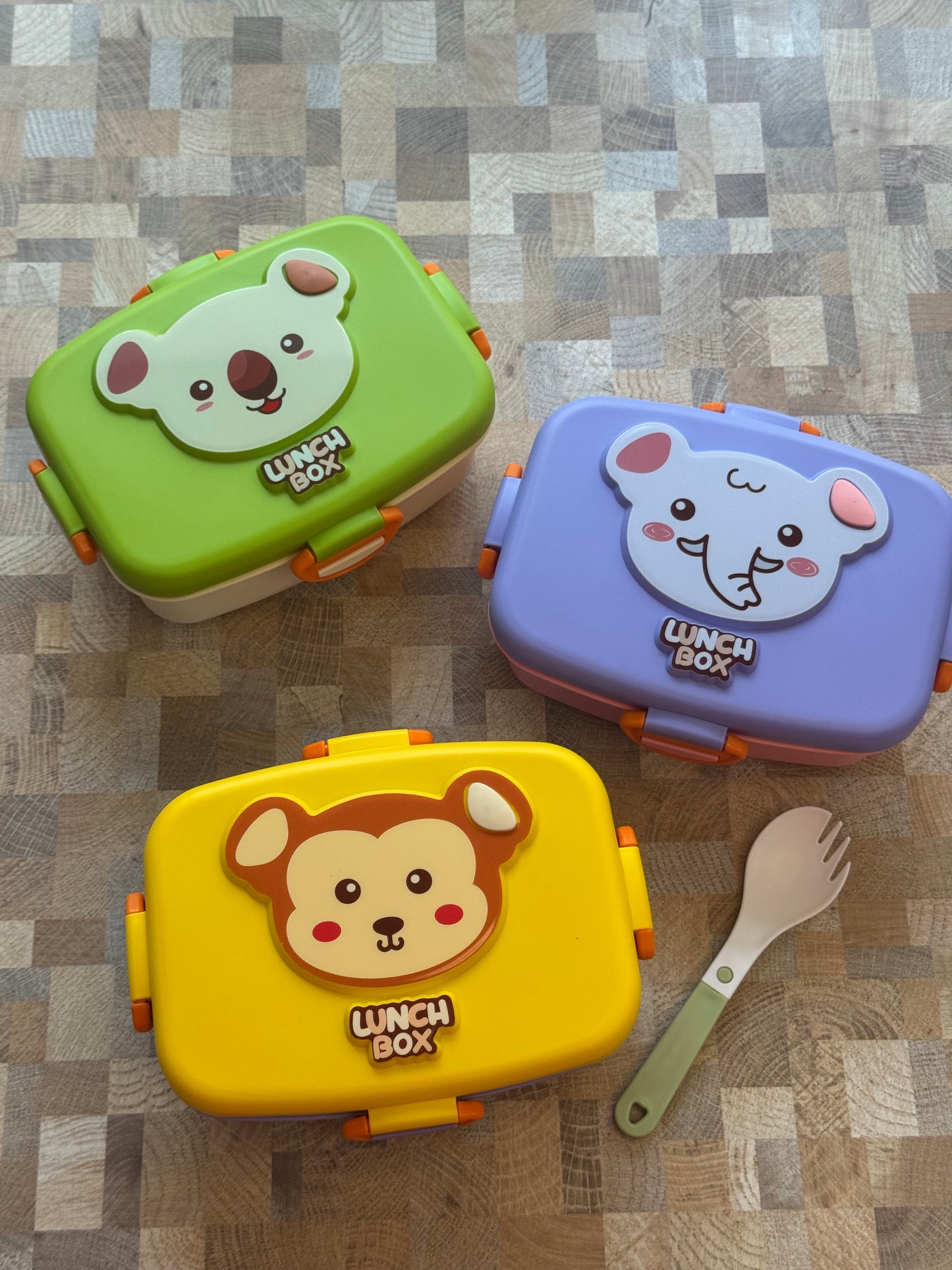 Safari Joy Kids Bento Tiffin Box