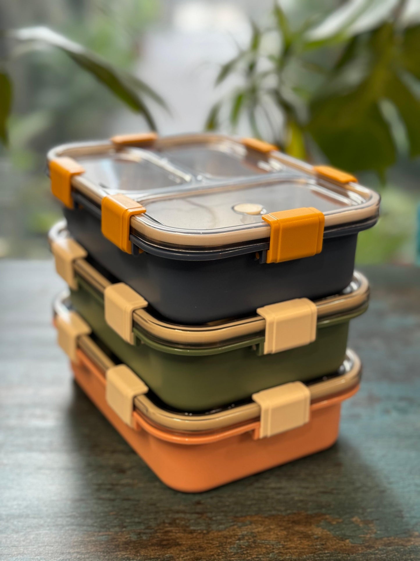 Meal Time Bento Box