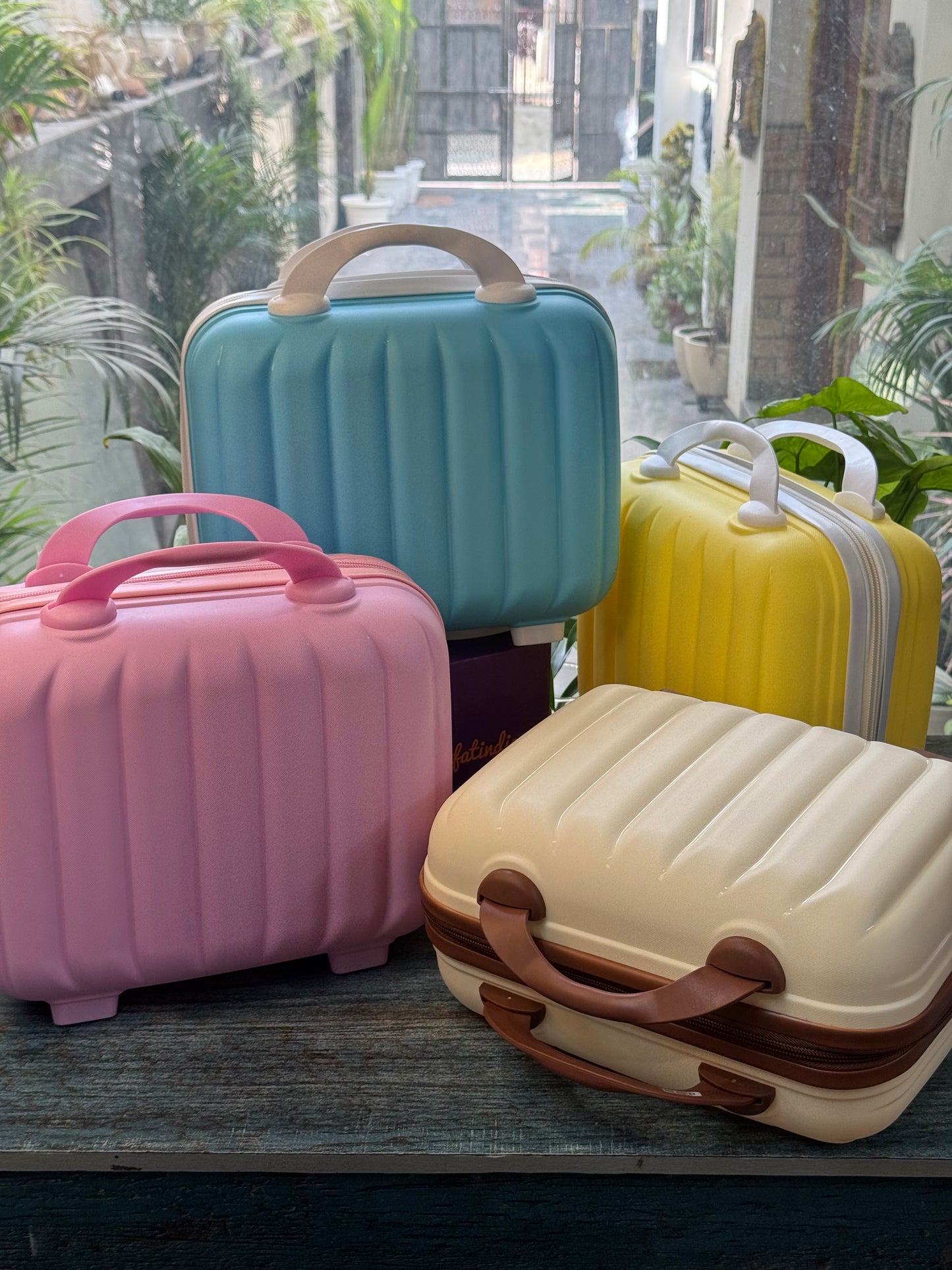 Luxe Shell Vanity Bag