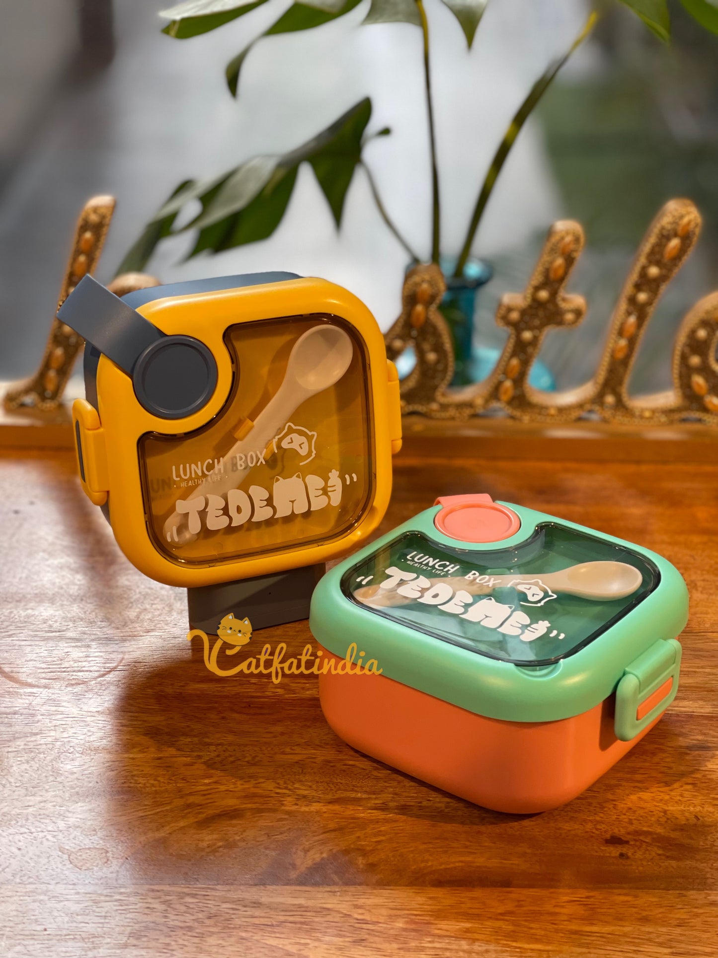 Kids Snacks bowl vacuum lunch box