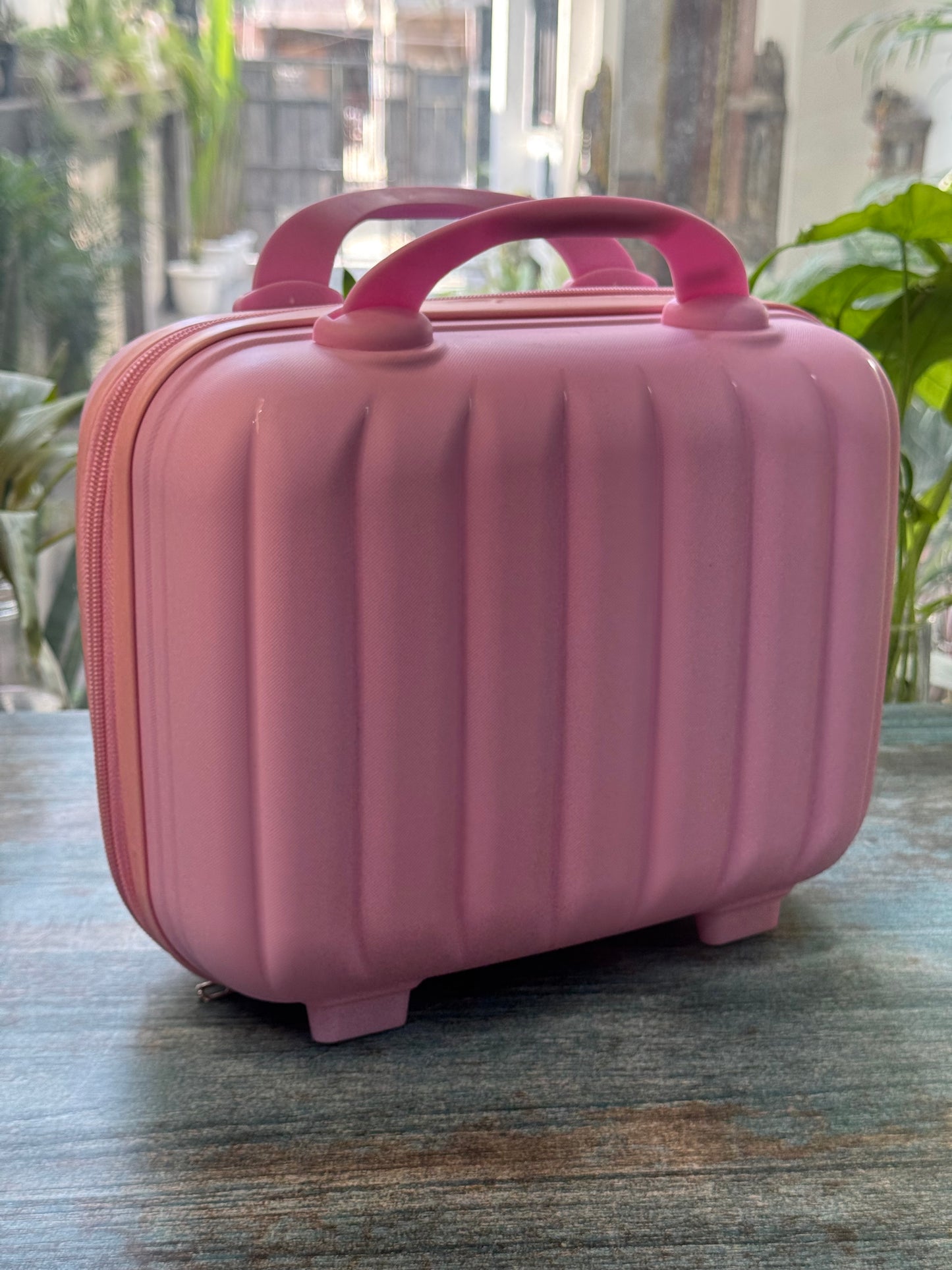 Luxe Shell Vanity Bag