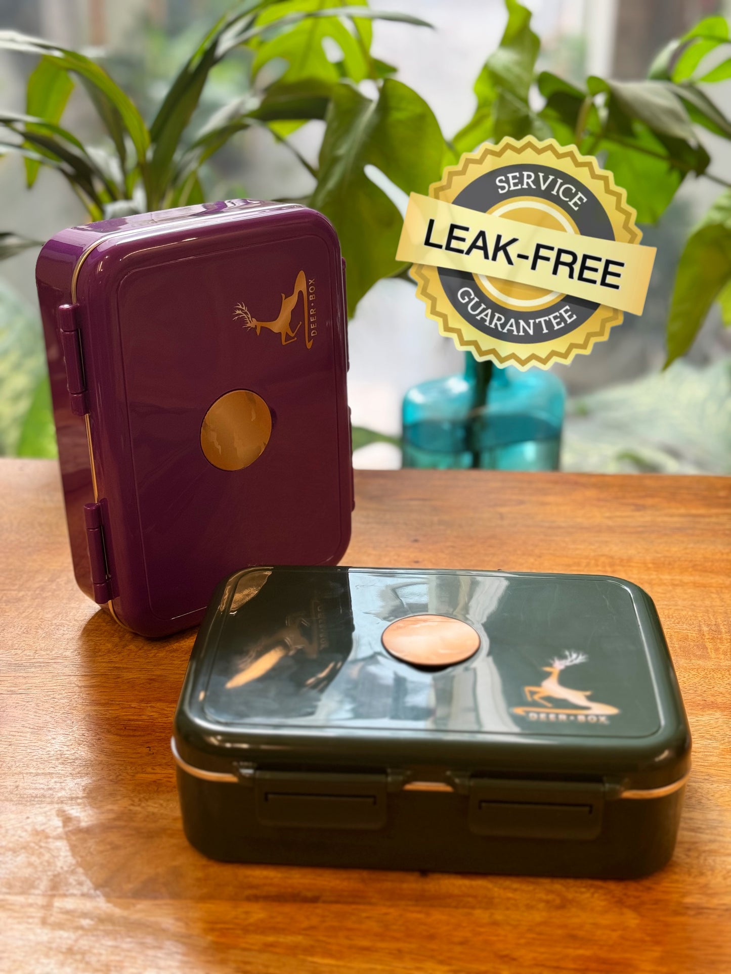 Savvy Bento Lunch Box (100% Leak-Proof)