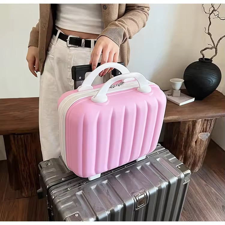 Luxe Shell Vanity Bag