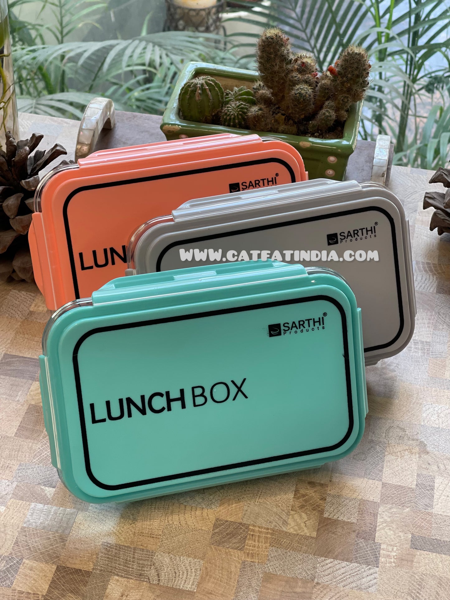 Classic Transparent Lunch Box