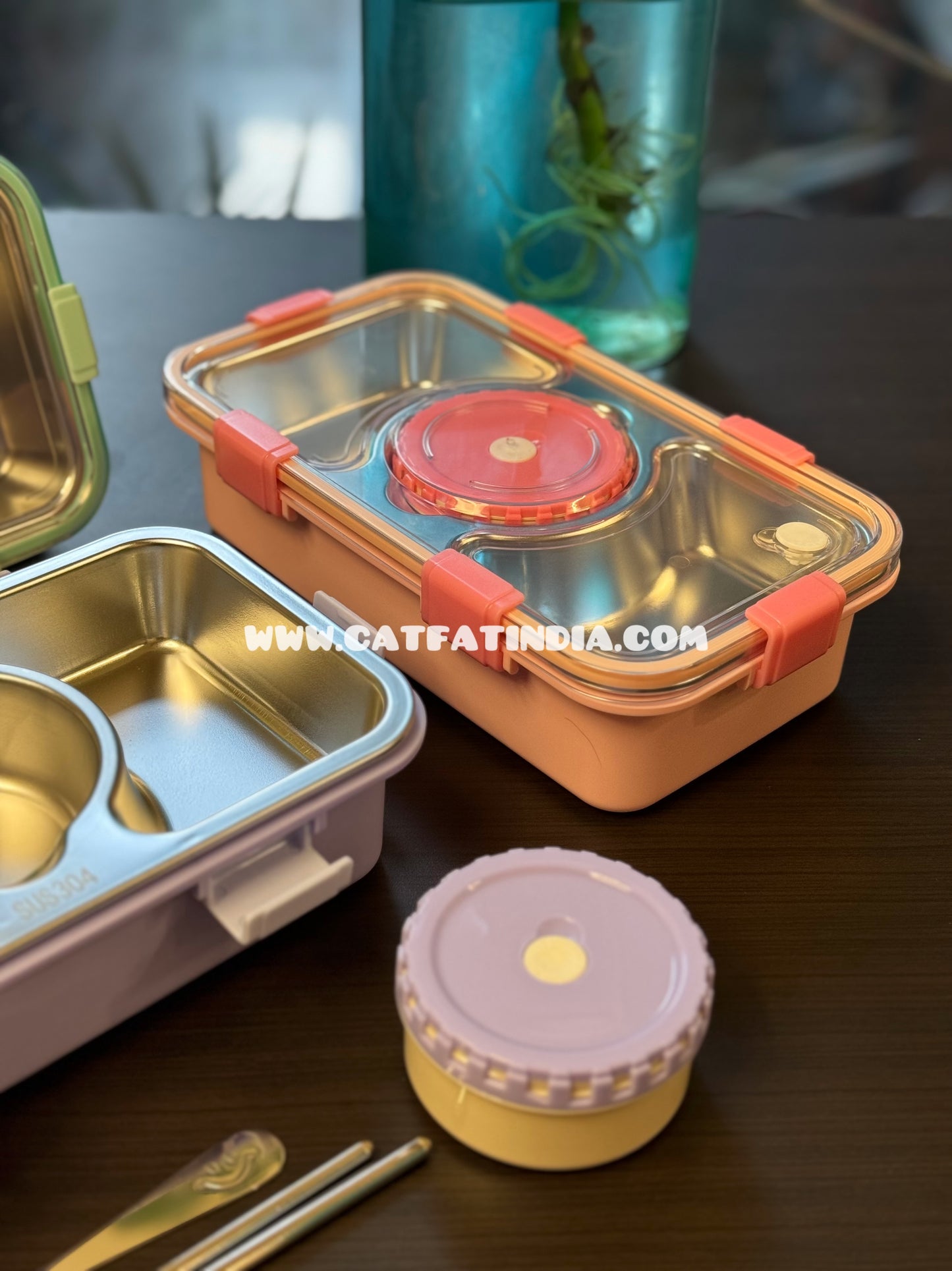 Tiffin Delight Bento Box