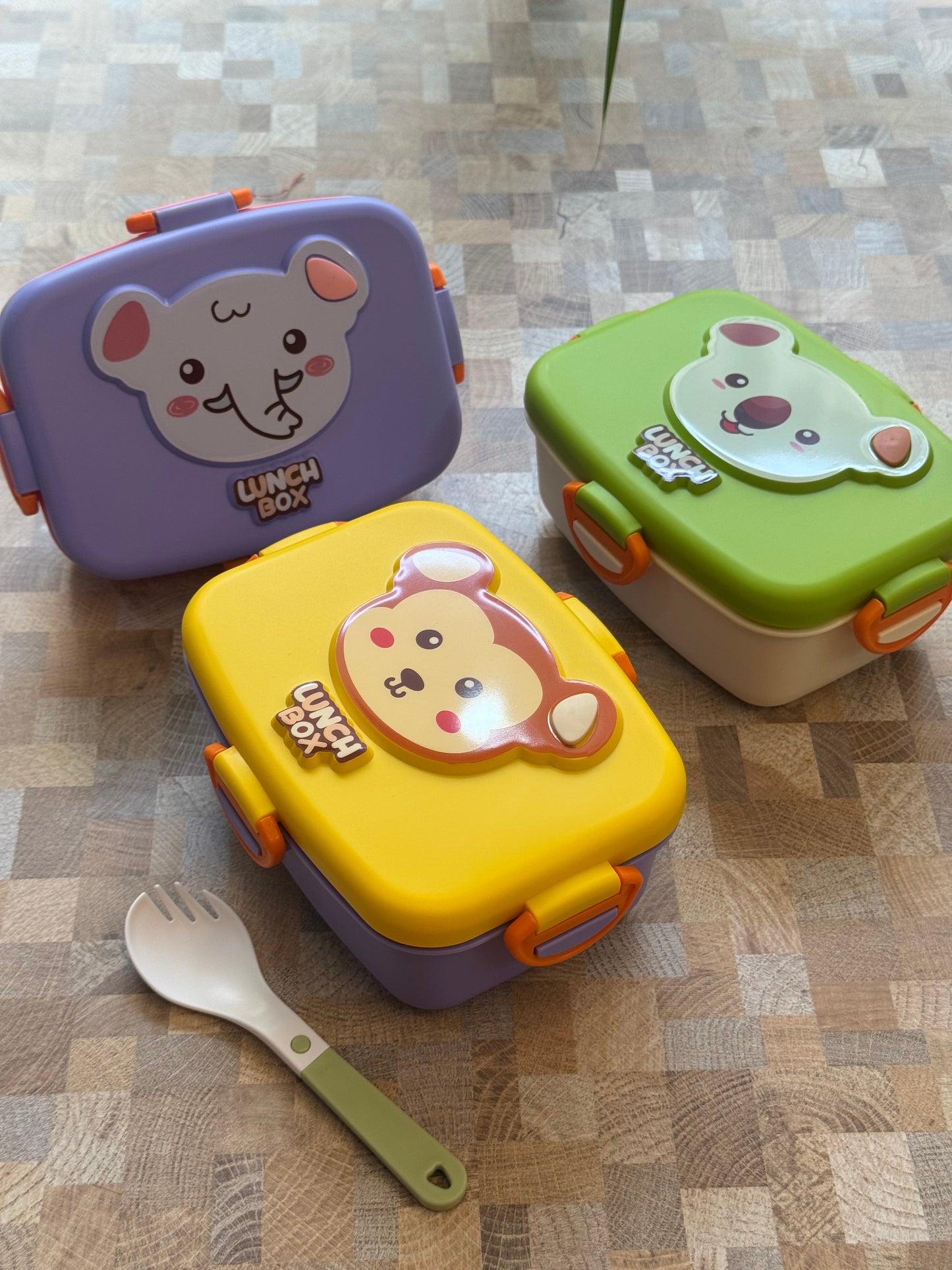 Safari Joy Kids Bento Tiffin Box