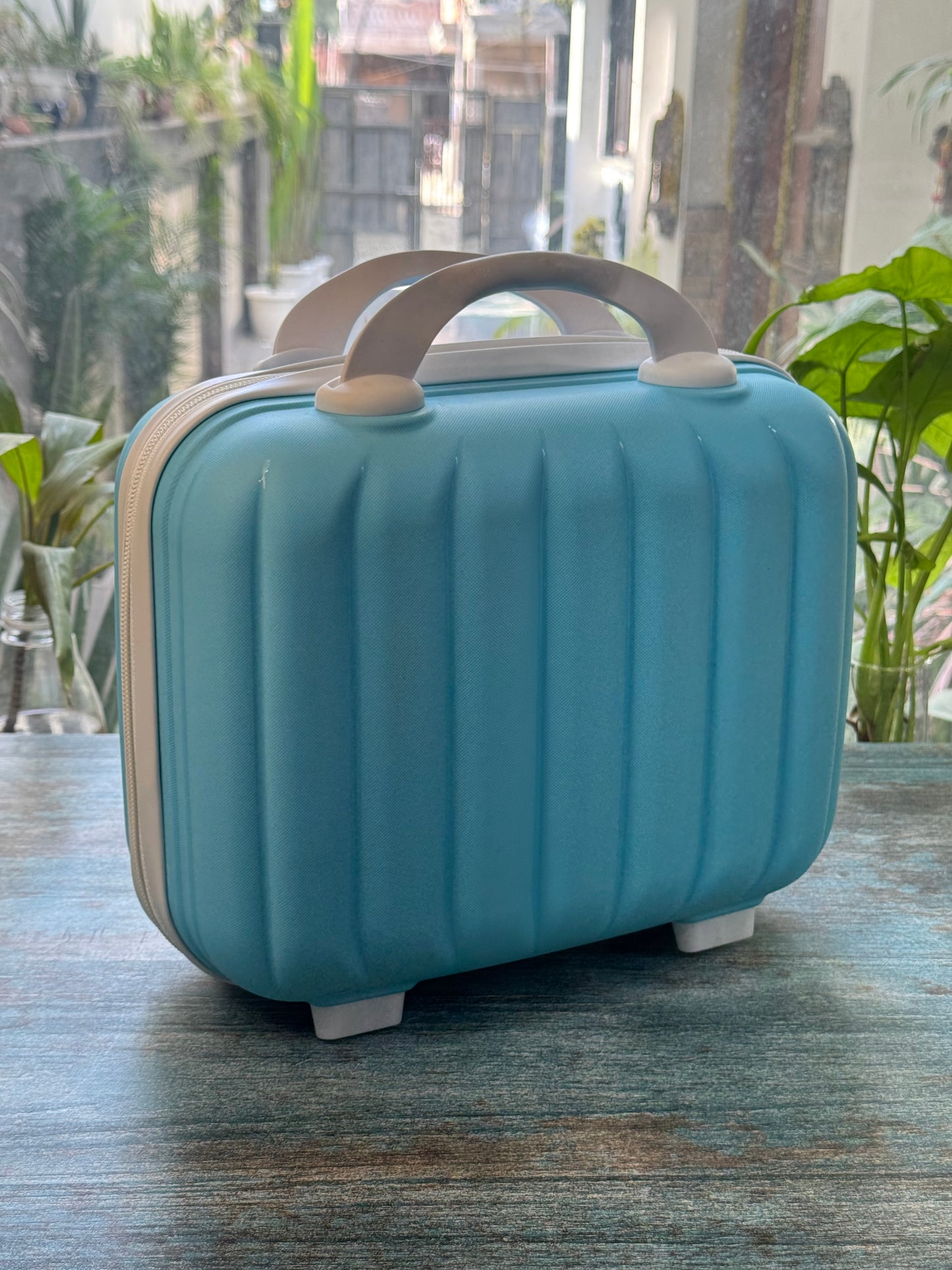 Luxe Shell Vanity Bag