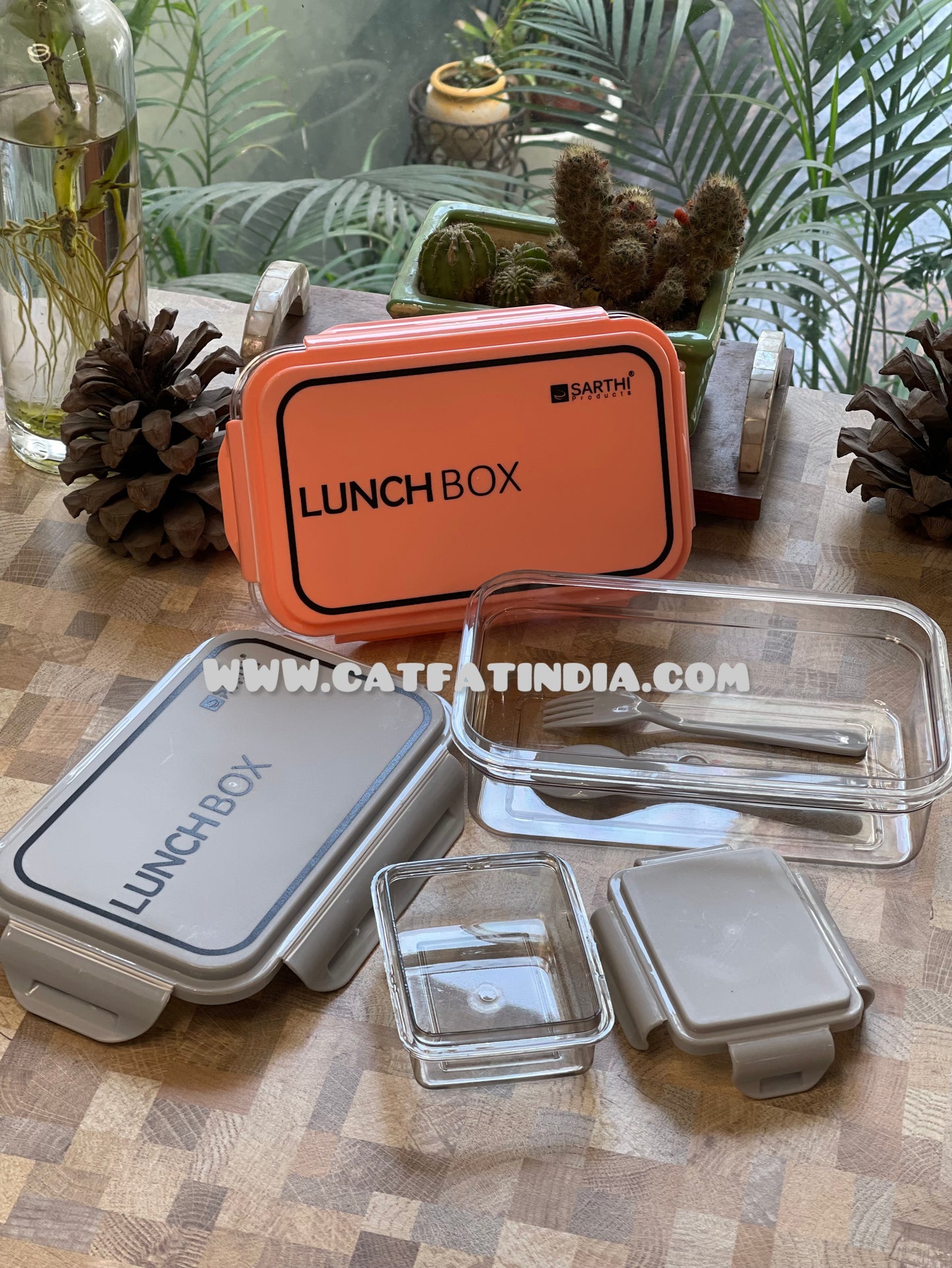 Classic Transparent Lunch Box