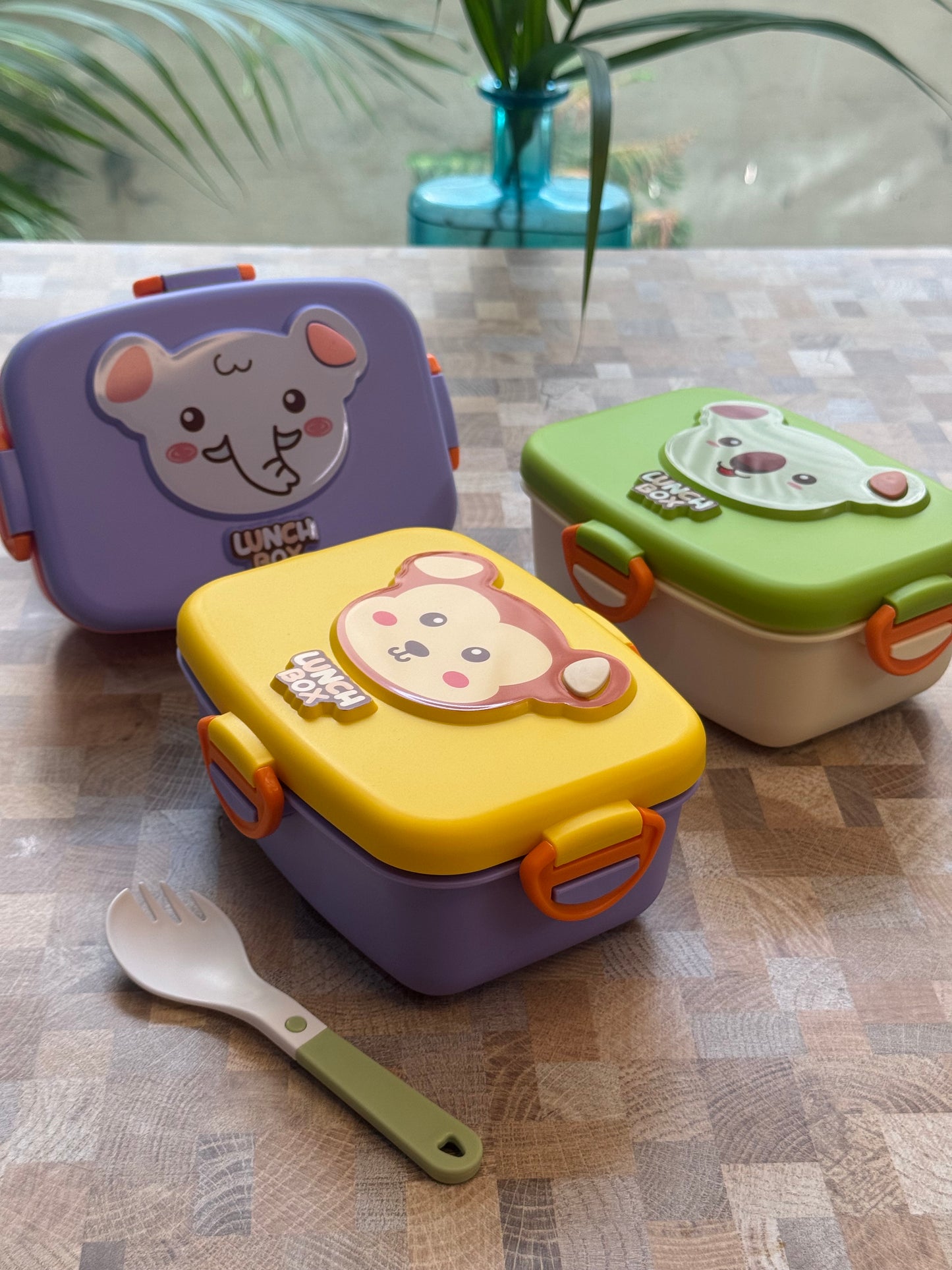 Safari Joy Kids Bento Tiffin Box