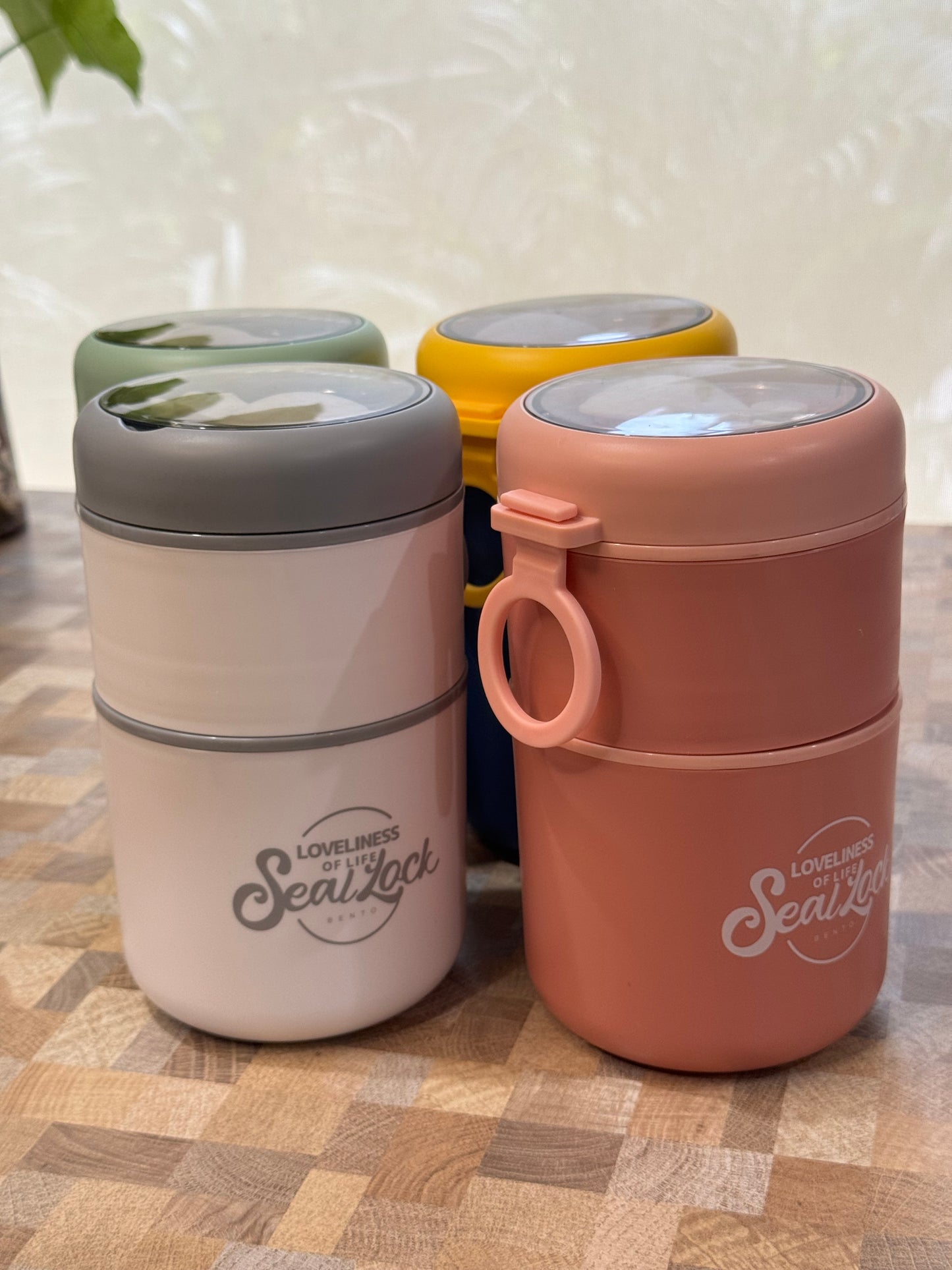 Double Pod Lunch Box