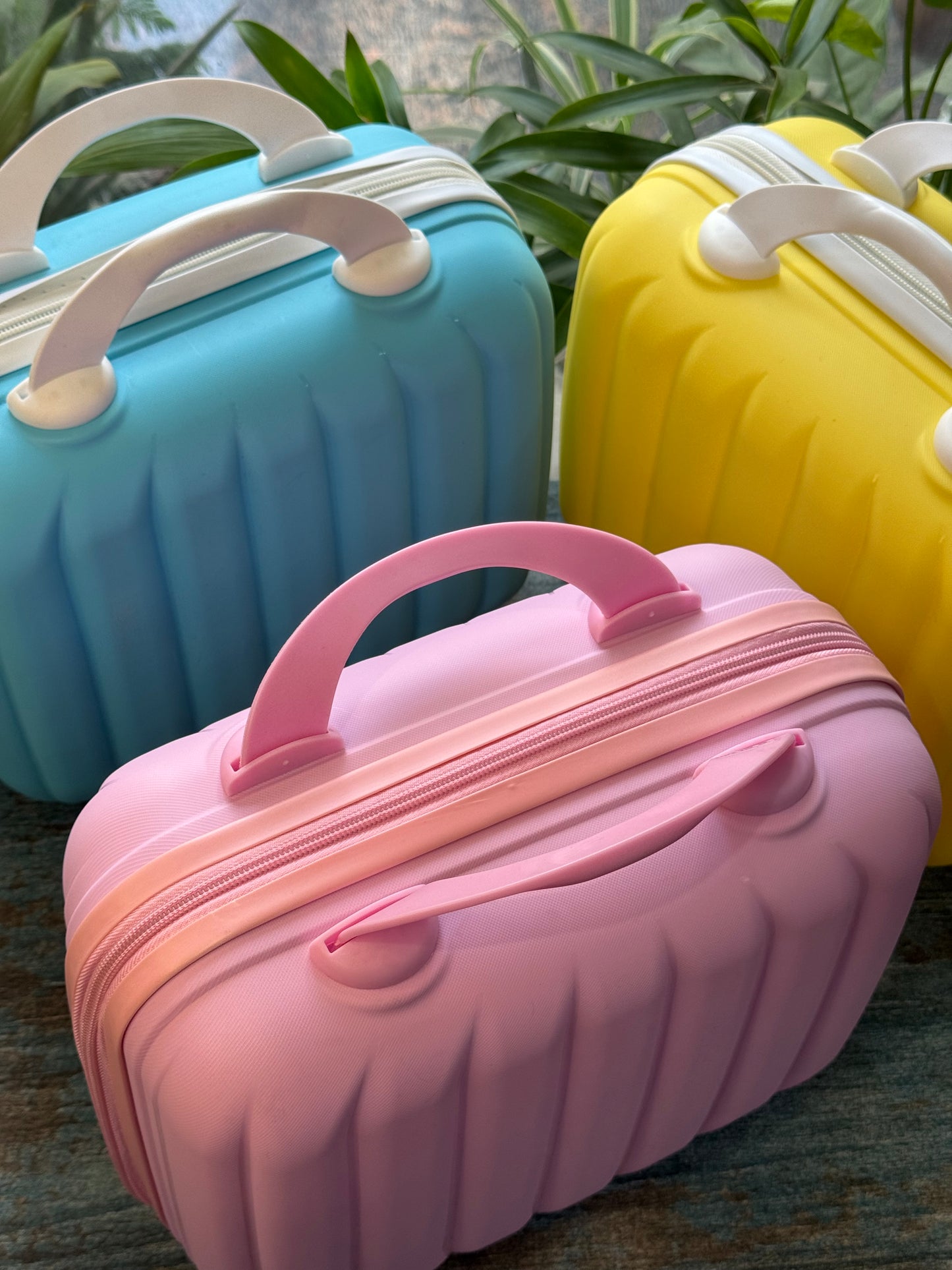 Luxe Shell Vanity Bag
