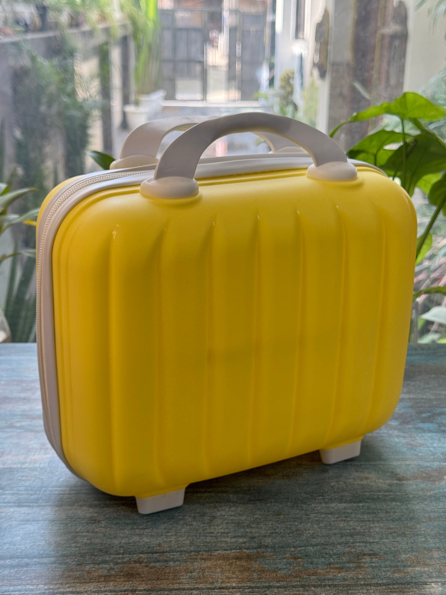 Luxe Shell Vanity Bag