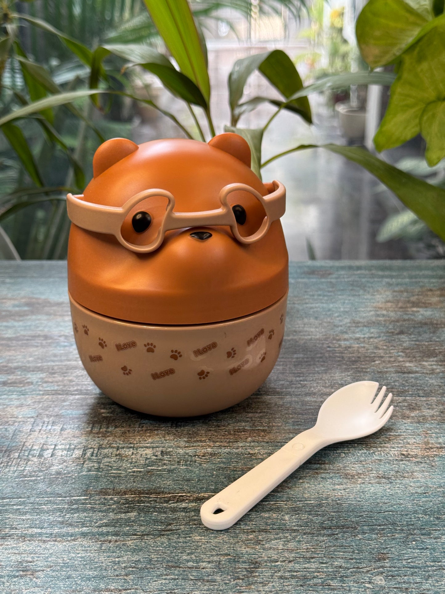 Little Bear Bento Lunch box