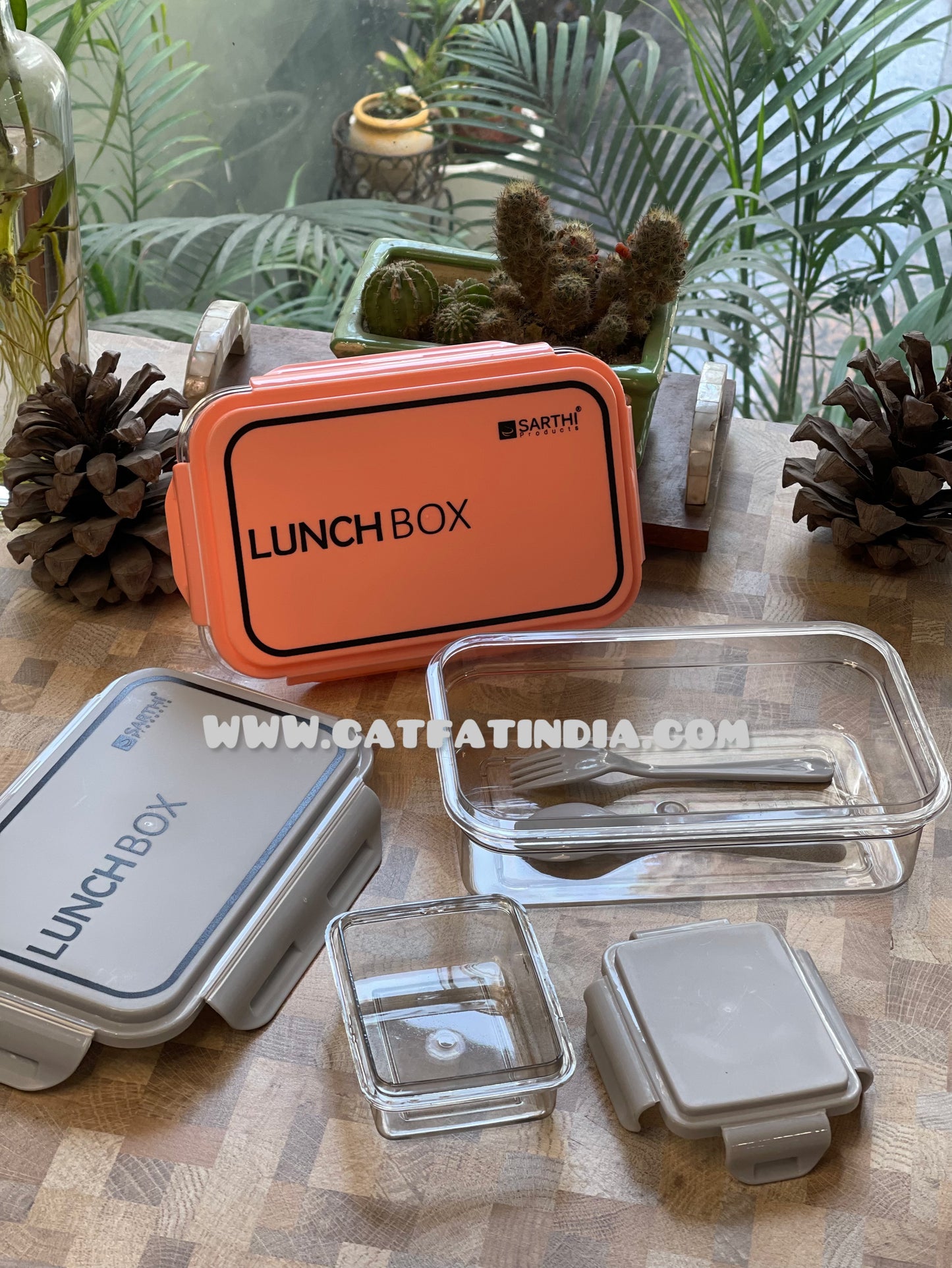 Classic Transparent Lunch Box