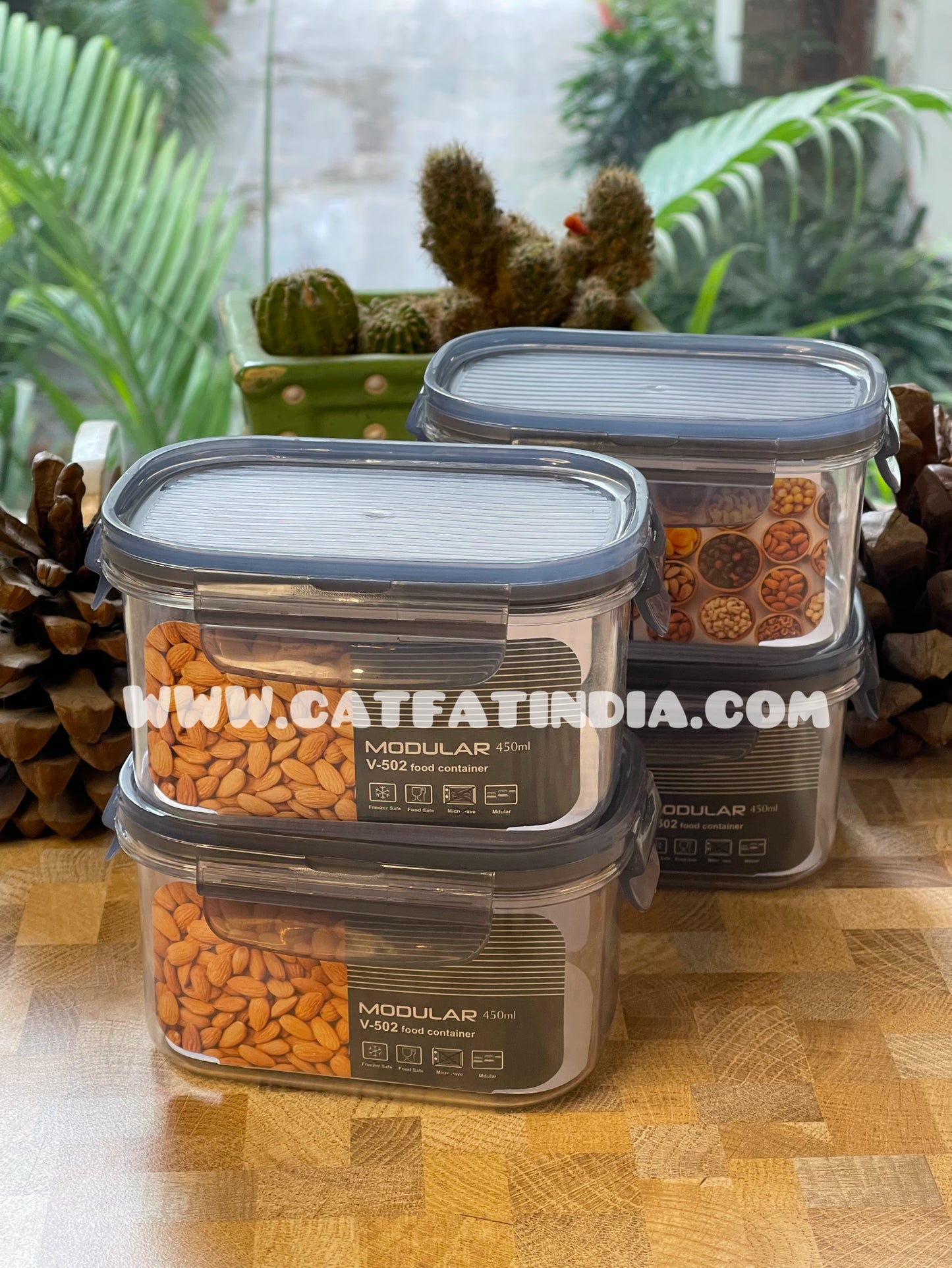 Food container boxes (Set of 5) – CATFATINDIA