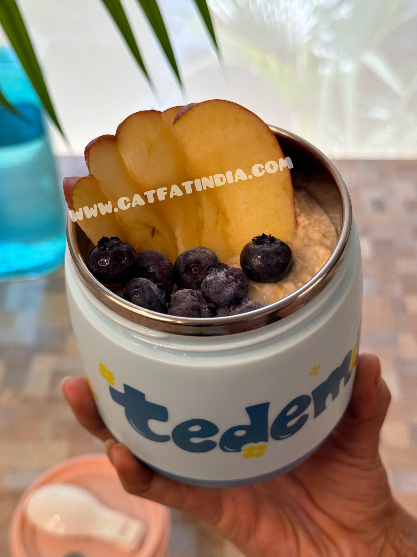 Mini Munch Bento Jar (Stainless Steel 450ML)