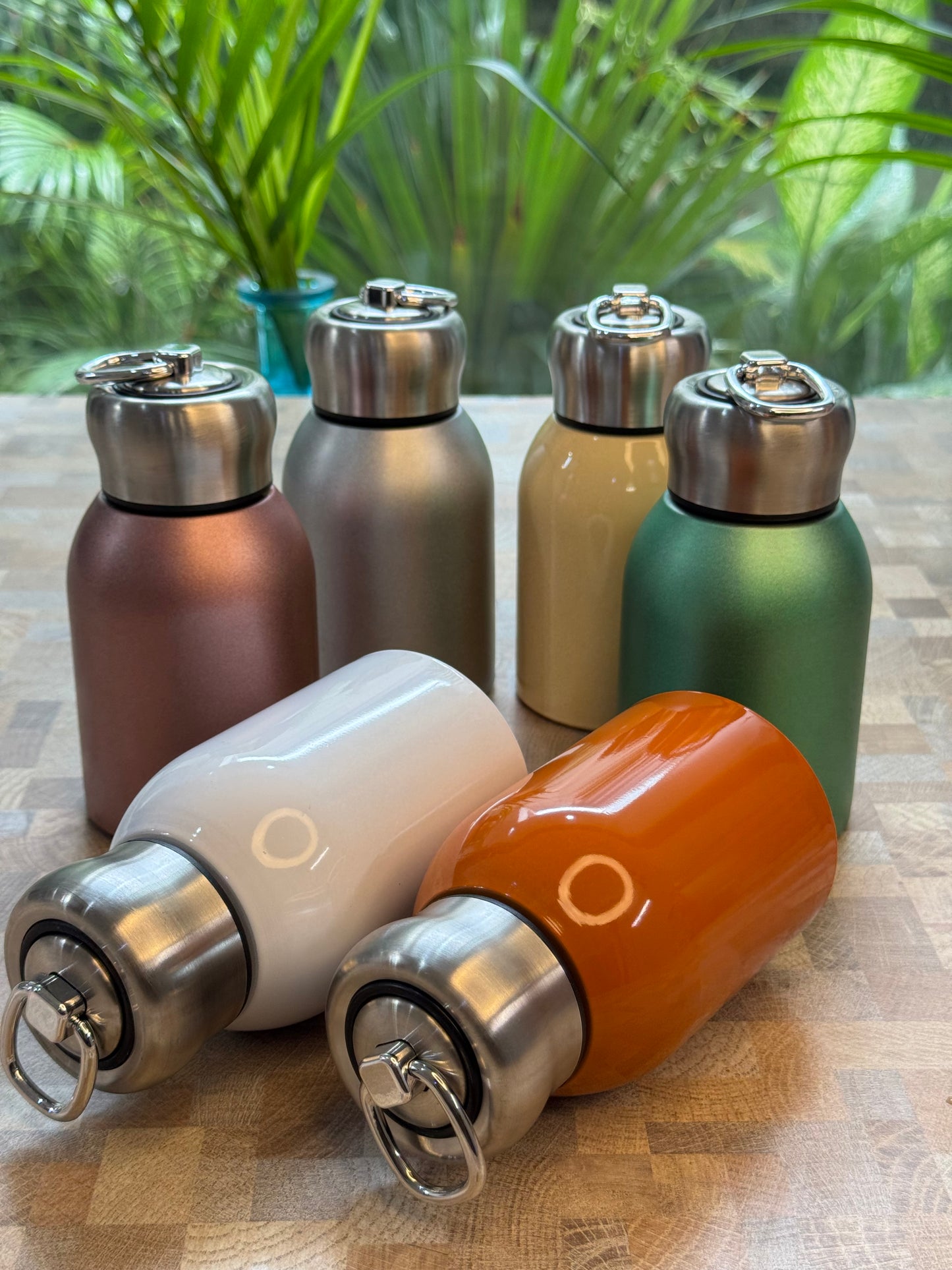 Colour Pop Mini Insulated Bottle (350ML)