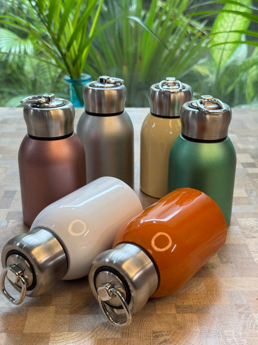 Colour Pop Mini Insulated Bottle (350ML)