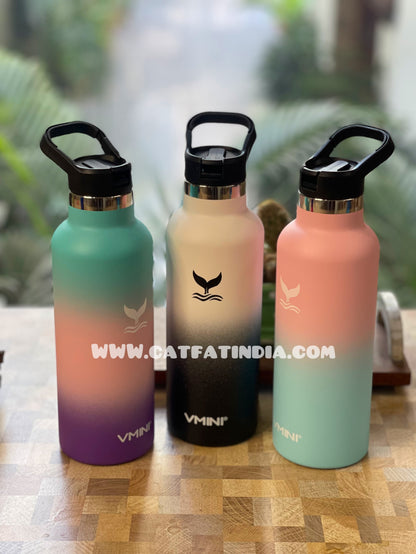 Mystic Aura bottle ( stainless steel 650ML )