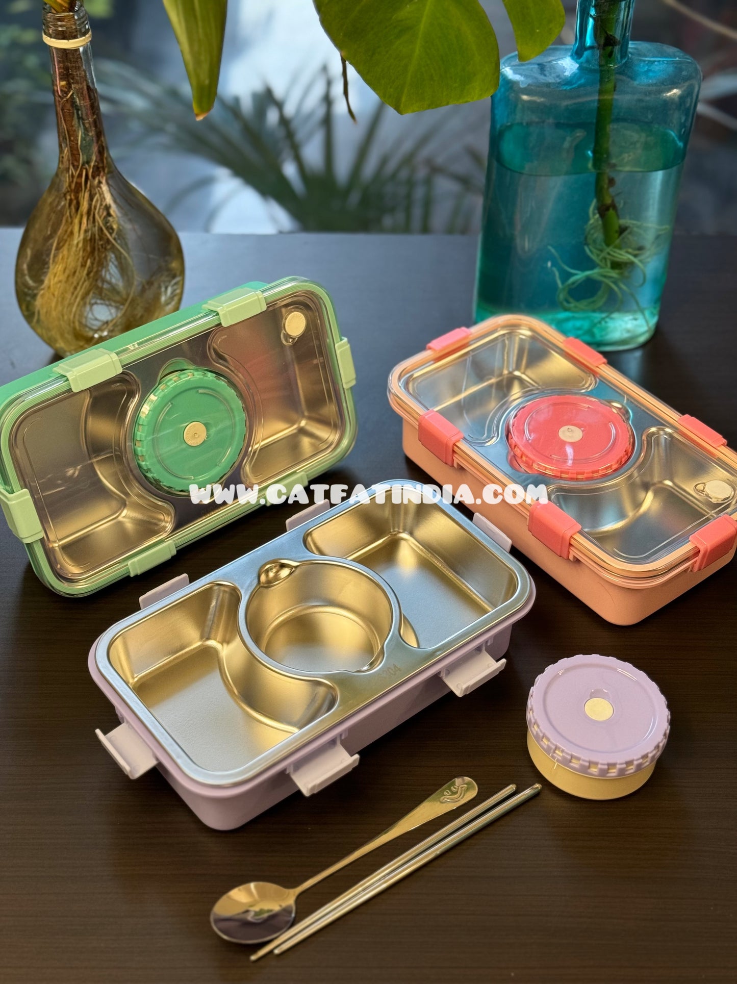 Tiffin Delight Bento Box