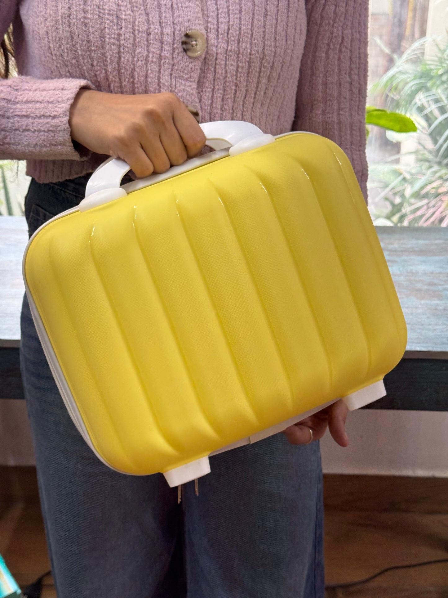 Luxe Shell Vanity Bag
