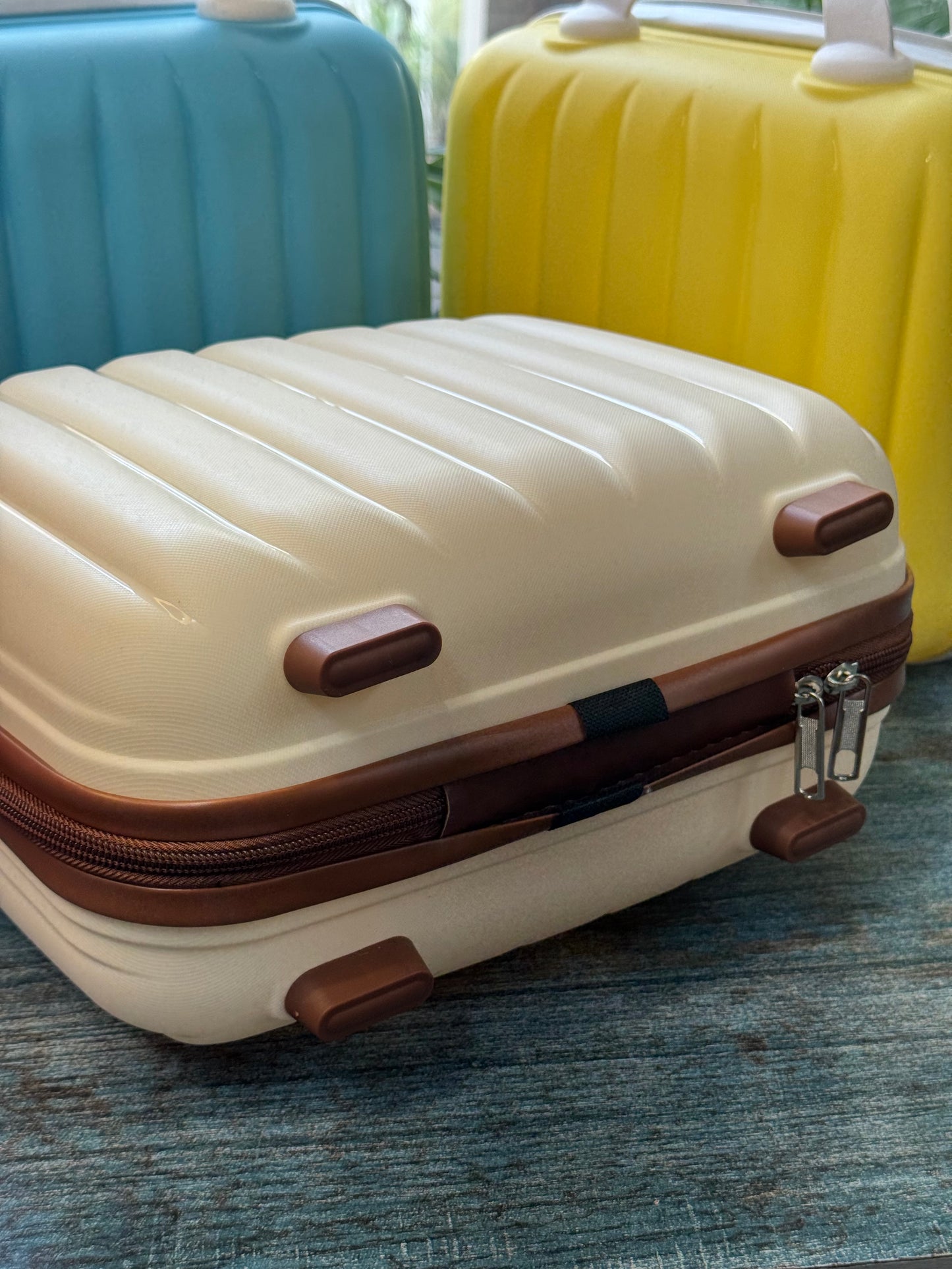 Luxe Shell Vanity Bag