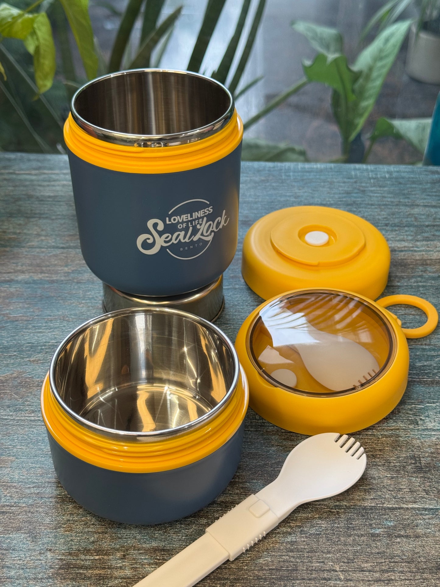 Snap Meal Double Decker Lunch Box