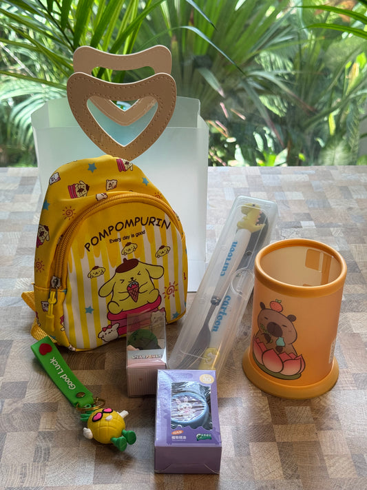 Cute Sanrio Mini Backpack Combo
