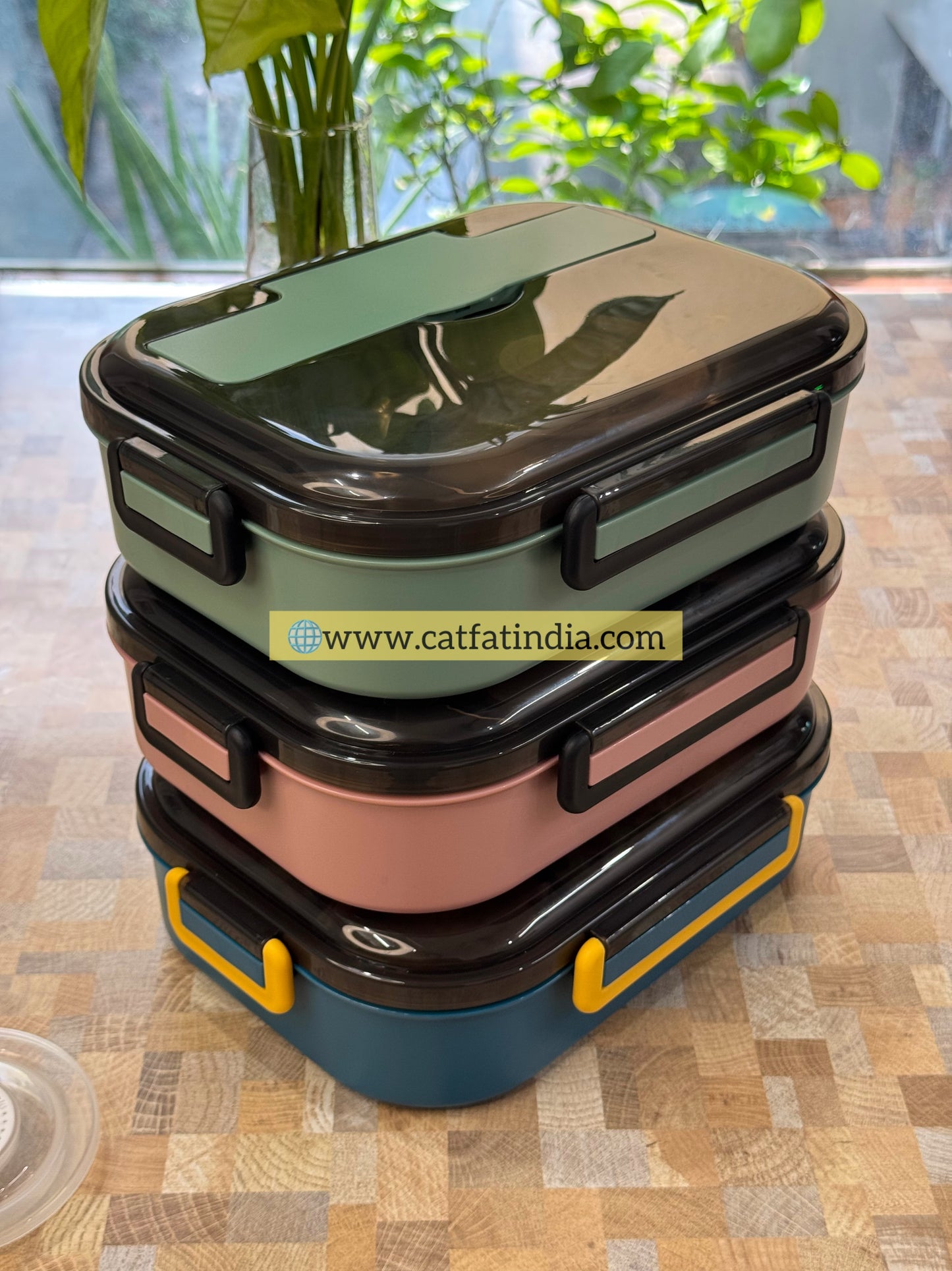 Fresh Lock Bento Lunch Box