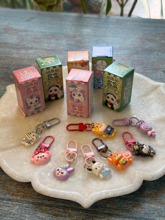 Surprise charms keyrings