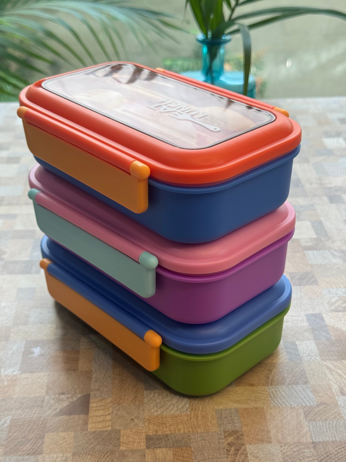 Bento Grid Daily Lunch Box