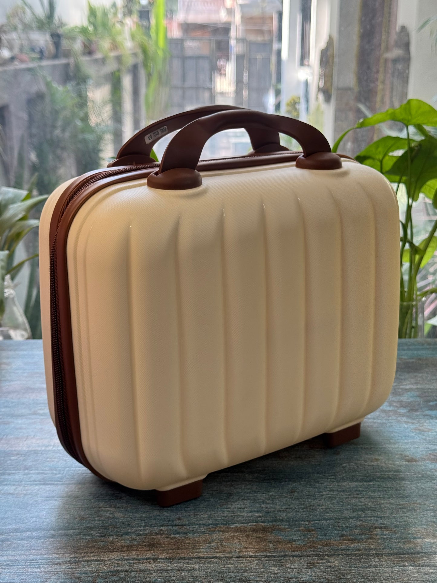 Luxe Shell Vanity Bag