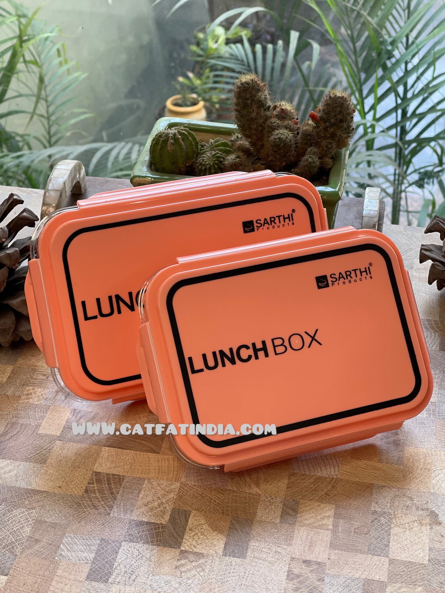 Classic Transparent Lunch Box