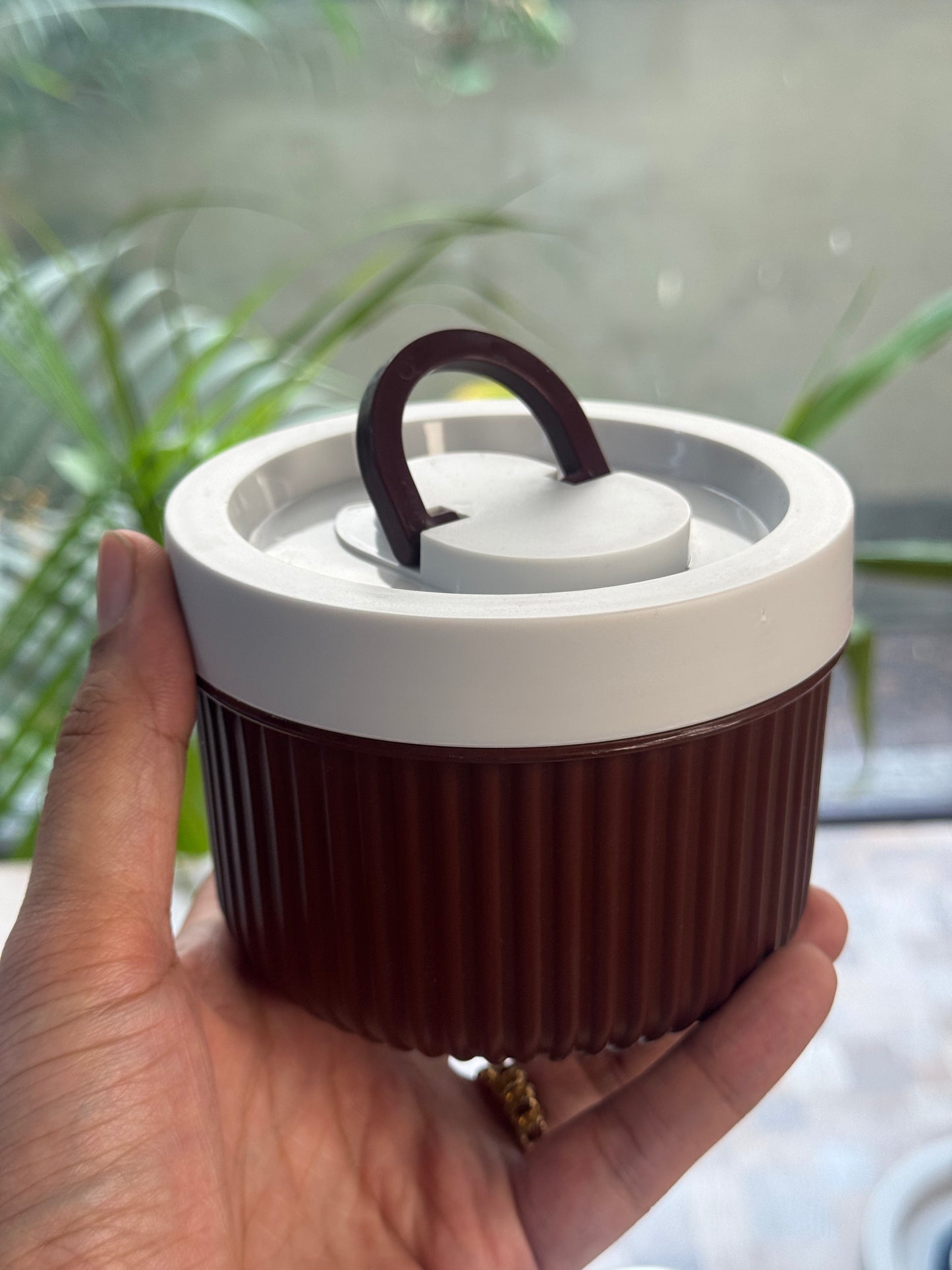Daily Delight Lunch Box ~Microwave safe