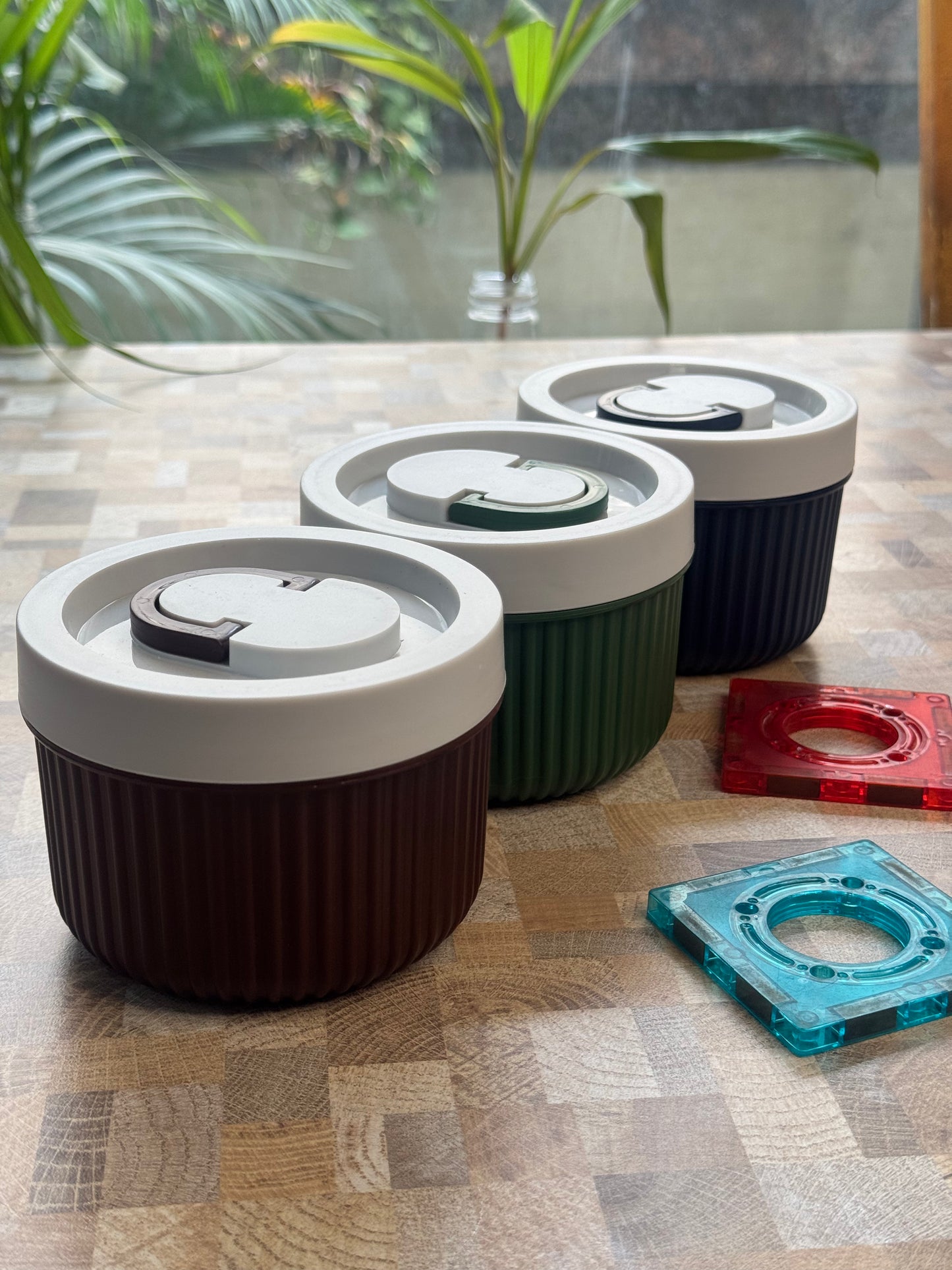 Daily Delight Lunch Box ~Microwave safe
