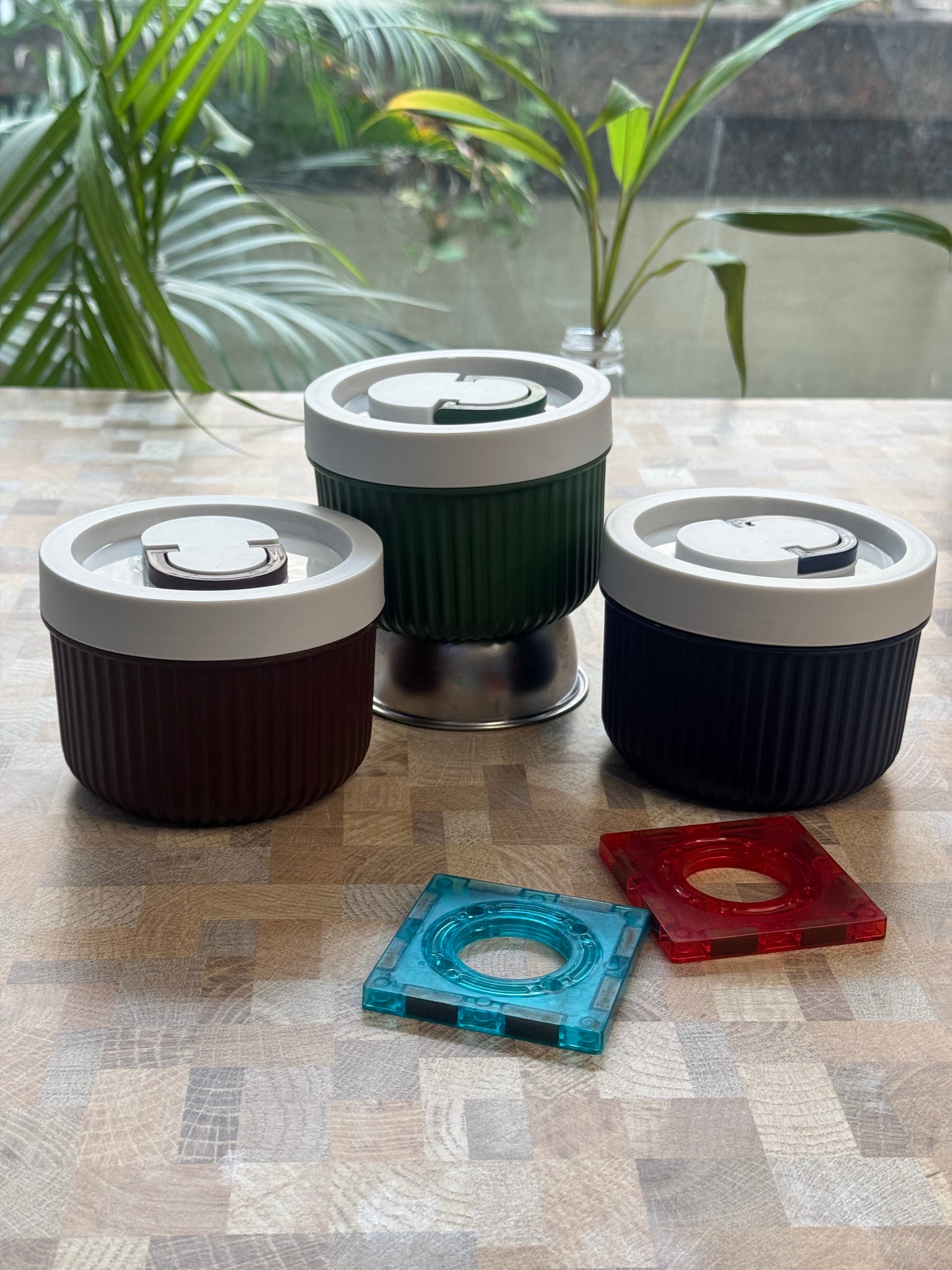 Daily Delight Lunch Box ~Microwave safe