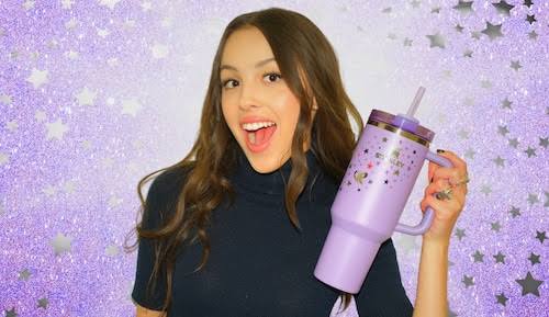 Olivia Rodrigo Stanley all-in-one tumbler ( stainless steel )